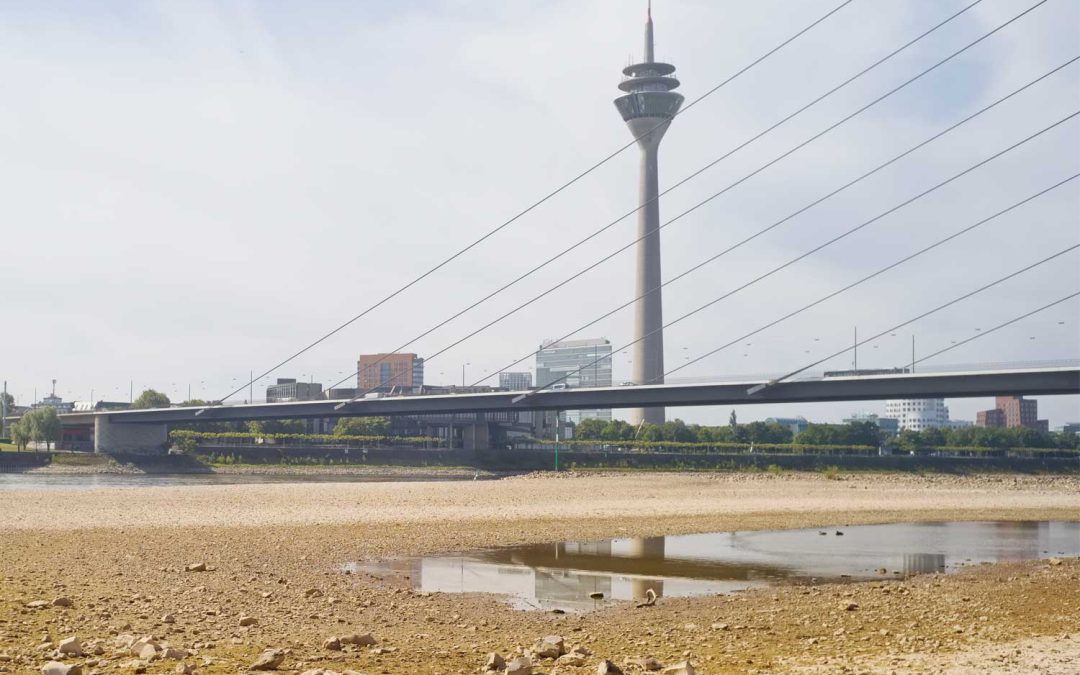 Rhine low water levels